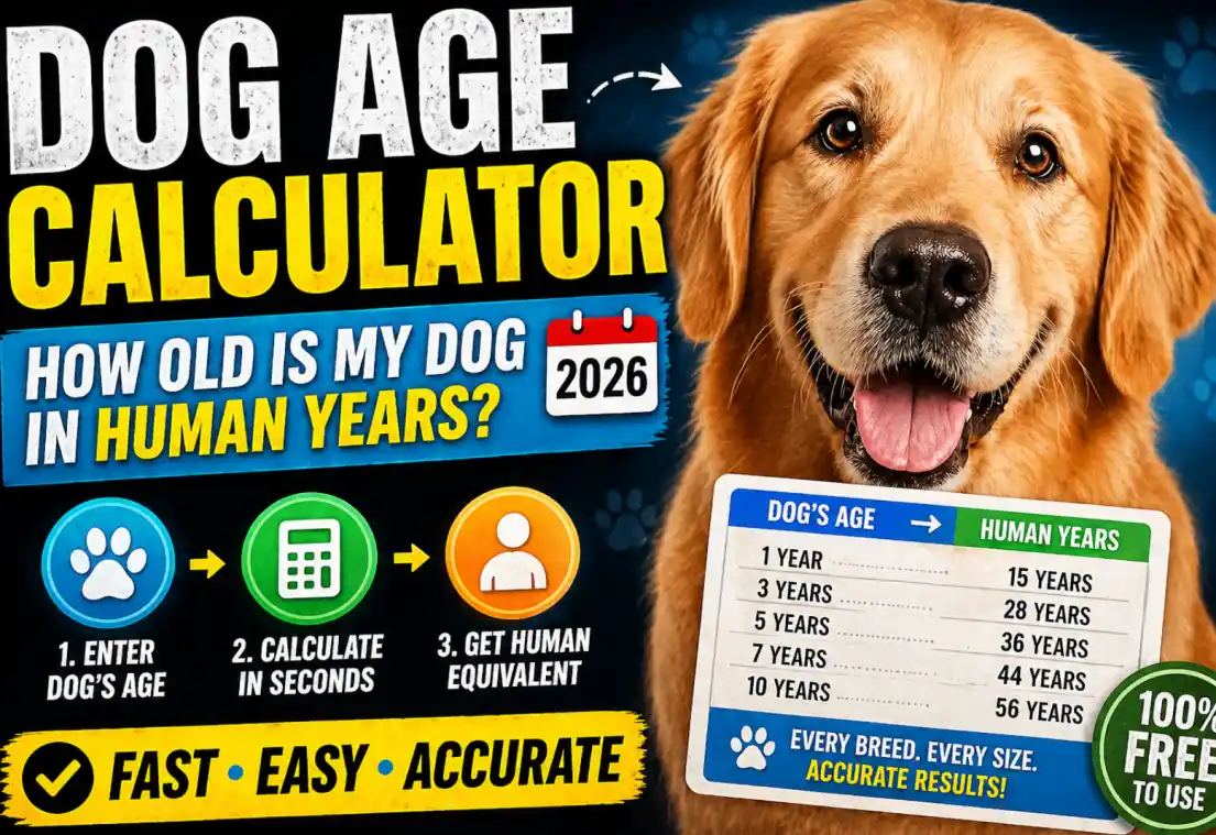 Dog Age Calculator 