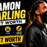 Damon Darling Net Worth